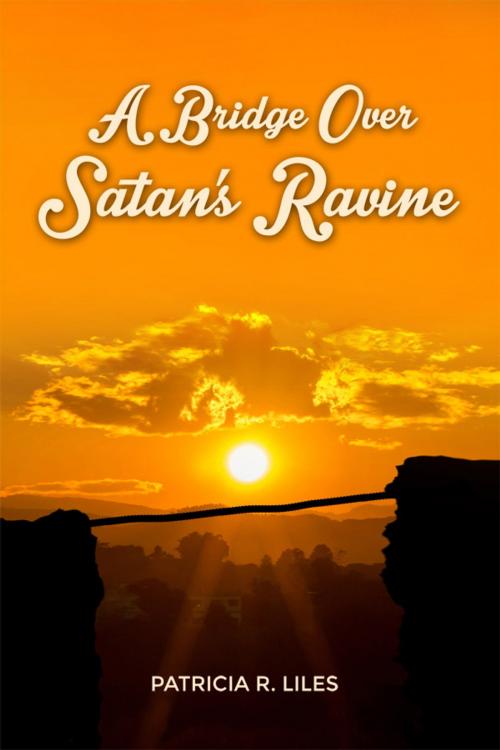 Cover of the book A Bridge Over Satan's Ravine by Patricia R. Liles, Dorrance Publishing