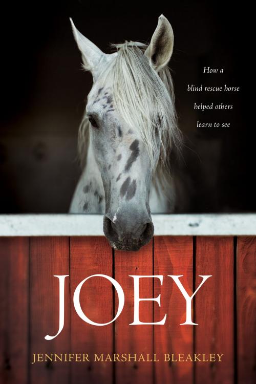 Cover of the book Joey by Jennifer Marshall Bleakley, Tyndale House Publishers, Inc.