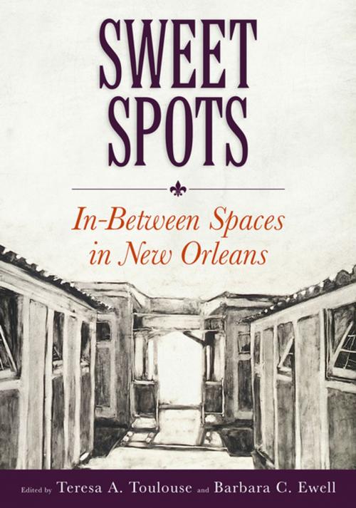 Cover of the book Sweet Spots by , University Press of Mississippi