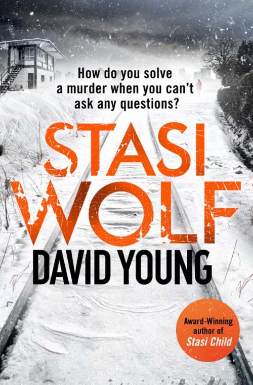 Cover of the book Stasi Wolf by David Young, Zaffre