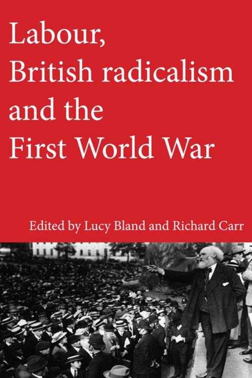 Cover of the book Labour, British radicalism and the First World War by , Manchester University Press
