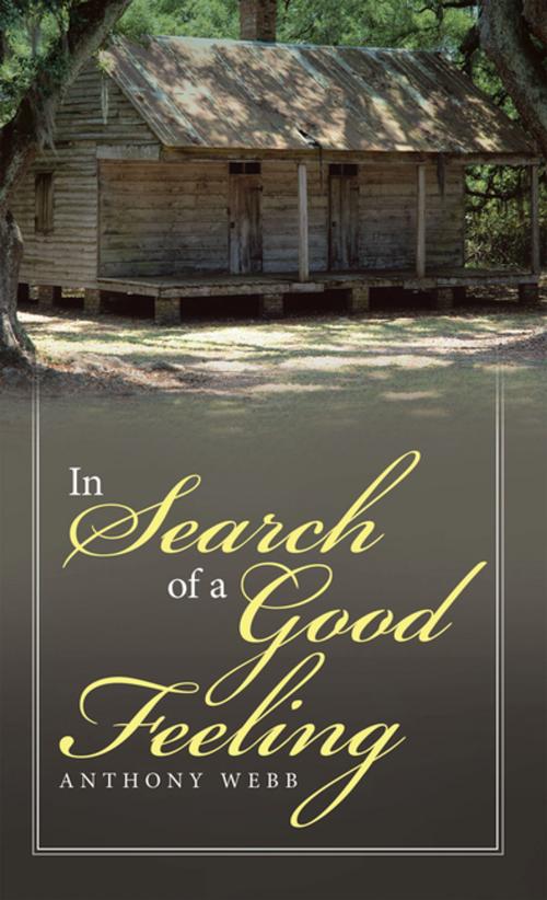 Cover of the book In Search of a Good Feeling by Anthony Webb, iUniverse