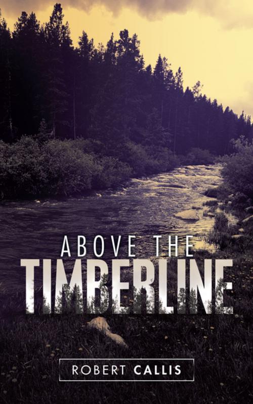 Cover of the book Above the Timberline by Robert Callis, iUniverse