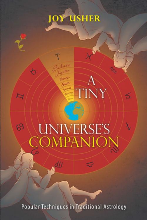 Cover of the book A Tiny Universe’S Companion by Joy Usher, Xlibris AU