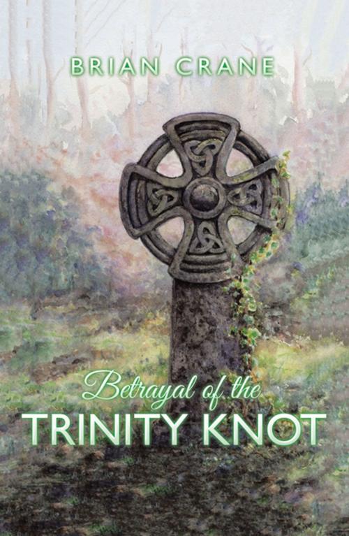 Cover of the book Betrayal of the Trinity Knot by Brian Crane, Xlibris UK