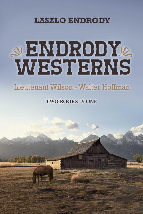 Cover of the book Endrody Westerns by Laszlo Endrody, BookBaby