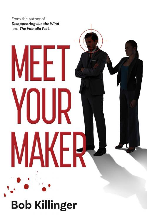 Cover of the book Meet Your Maker by Bob Killinger, BookBaby