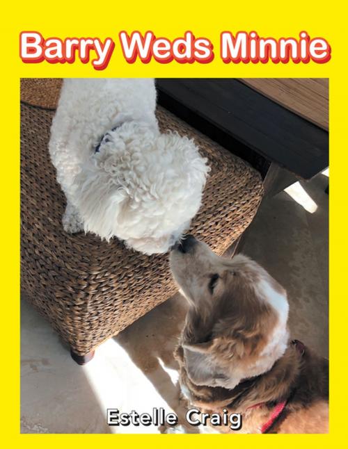 Cover of the book Barry Weds Minnie by Estelle Craig, AuthorHouse