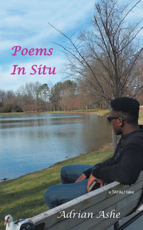 Cover of the book Poems in Situ by Adrian Ashe, AuthorHouse UK