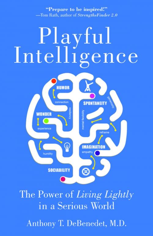 Cover of the book Playful Intelligence by Anthony T. DeBenedet, MD, Santa Monica Press