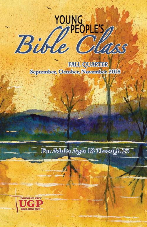 Cover of the book Young People’s Bible Class by David Rowland, Union Gospel Press