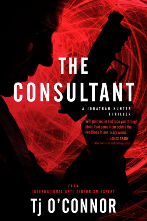 Cover of the book The Consultant by Tj O'Connor, Oceanview Publishing