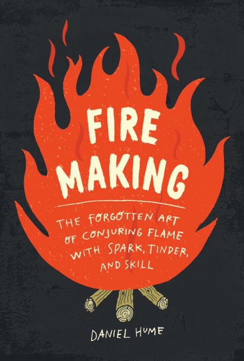 Cover of the book Fire Making by Daniel Hume, The Experiment