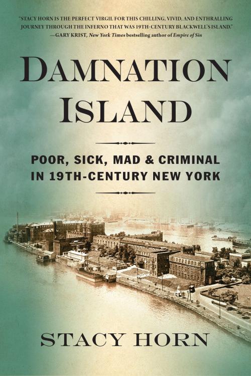 Cover of the book Damnation Island by Stacy Horn, Algonquin Books