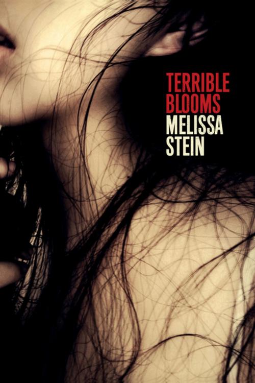 Cover of the book Terrible Blooms by Melissa Stein, Copper Canyon Press