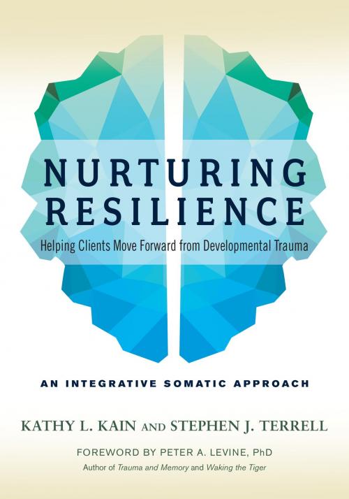 Cover of the book Nurturing Resilience by Kathy L. Kain, Stephen J. Terrell, North Atlantic Books