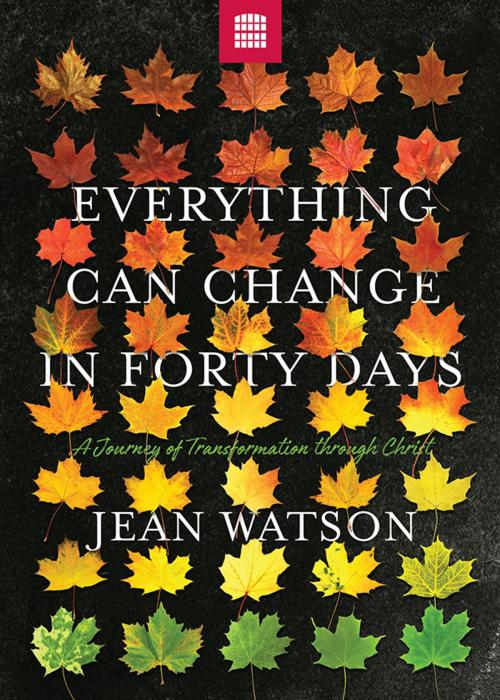 Cover of the book Everything Can Change in Forty Days: A Journey of Transformation in Christ by Jean Watson, Asbury Seedbed Publishing
