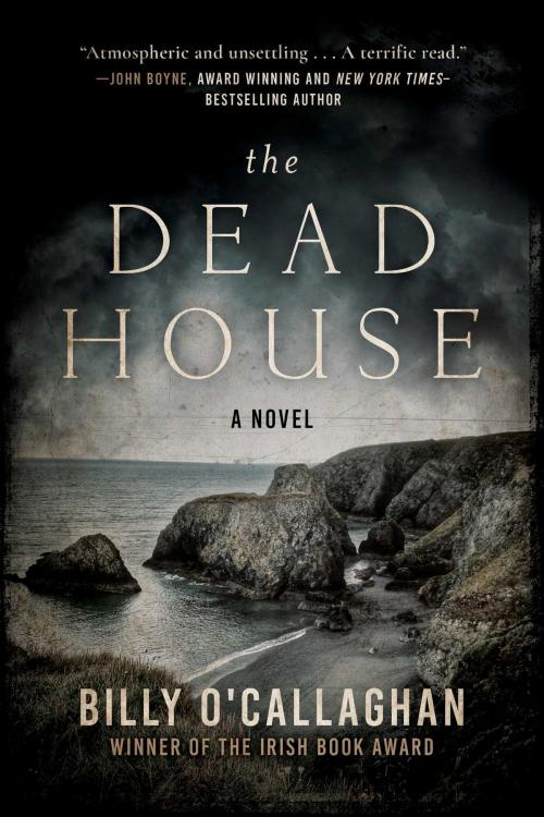 Cover of the book The Dead House by Billy O'Callaghan, Arcade
