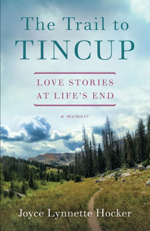 Cover of the book The Trail to Tincup by Joyce Lynette Hocker, She Writes Press