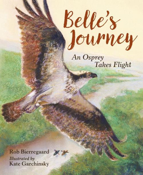 Cover of the book Belle's Journey by Rob Bierregaard, Charlesbridge