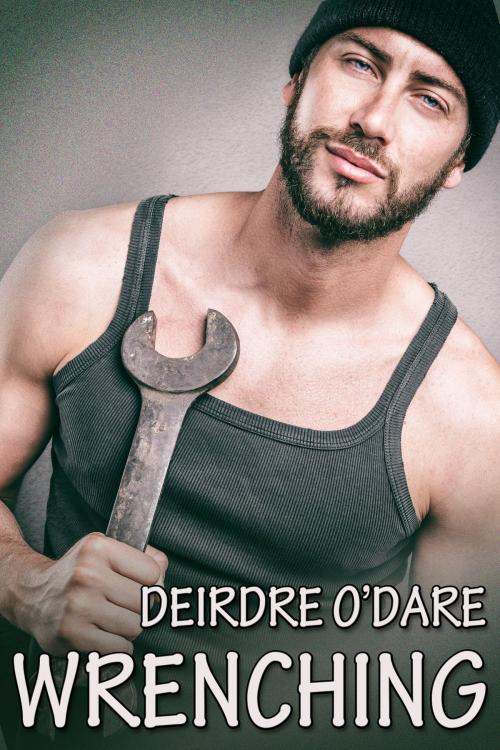 Cover of the book Wrenching by Deirdre O’Dare, JMS Books LLC