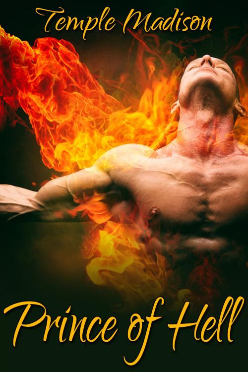 Cover of the book Prince of Hell by Temple Madison, JMS Books LLC