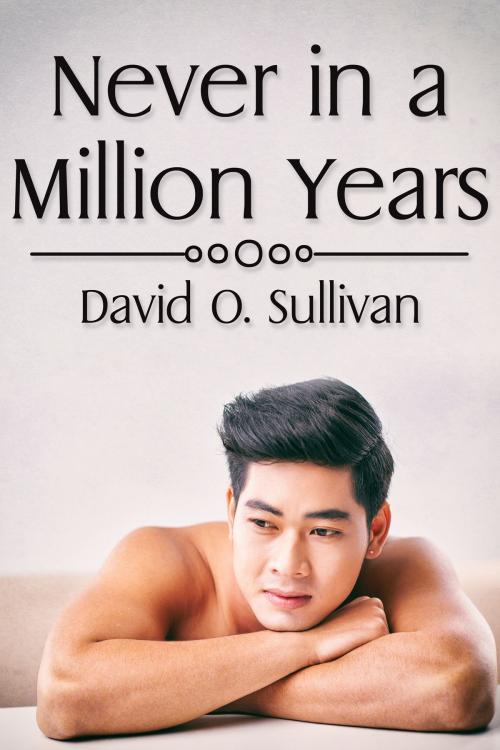 Cover of the book Never in a Million Years by David O. Sullivan, JMS Books LLC