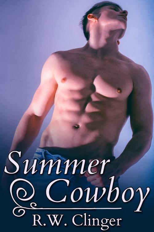 Cover of the book Summer Cowboy by R.W. Clinger, JMS Books LLC