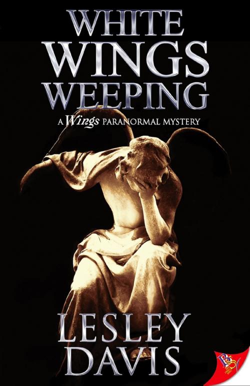 Cover of the book White Wings Weeping by Lesley Davis, Bold Strokes Books, Inc.