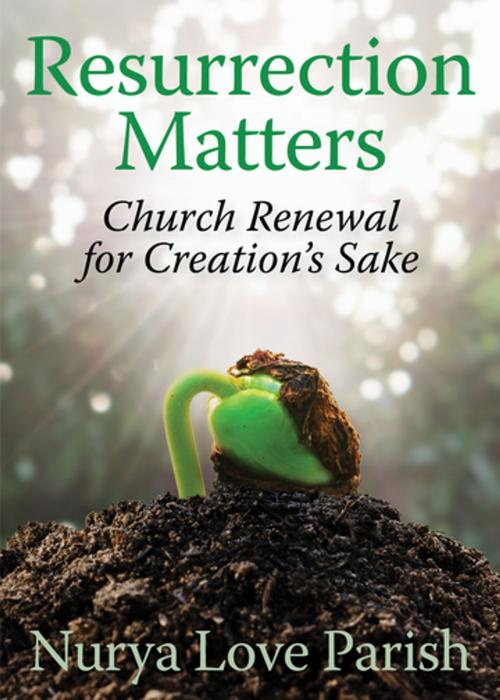 Cover of the book Resurrection Matters by Nurya Love Parish, Church Publishing Inc.