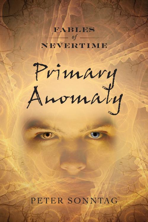 Cover of the book Primary Anomaly by Peter Sonntag, Izzard Ink Publishing