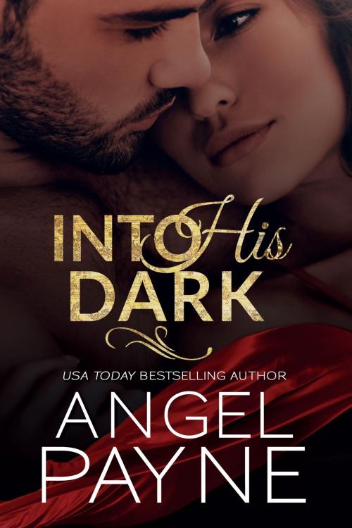 Cover of the book Into His Dark by Angel Payne, Waterhouse Press