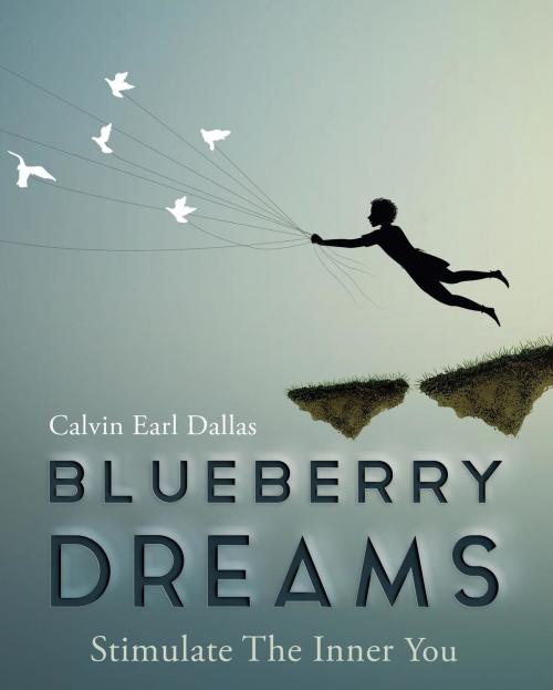 Cover of the book Blueberry Dreams by Calvin Earl Dallas, Stratton Press