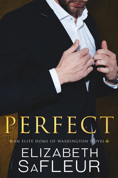Cover of the book Perfect by Elizabeth SaFleur, Elizabeth SaFleur LLC