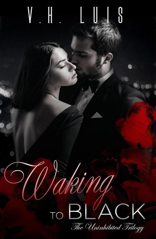 Cover of the book Waking to Black by V.H. Luis, V.H. Luis