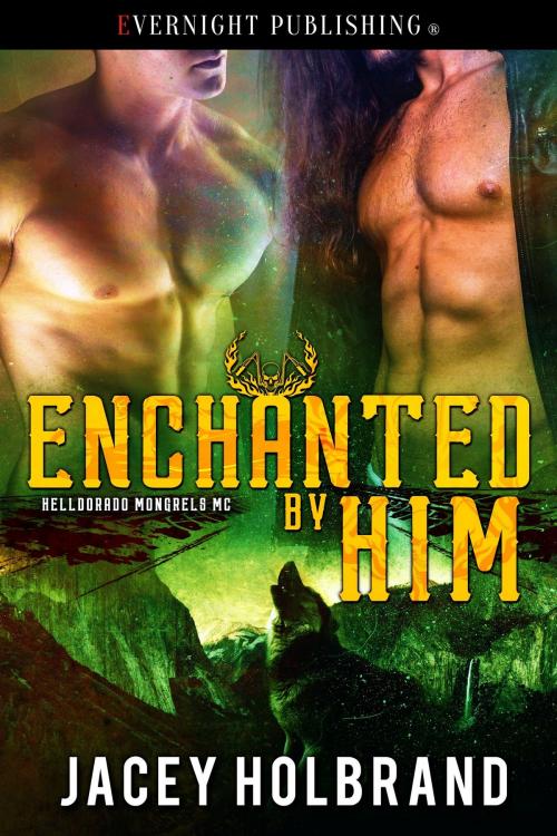 Cover of the book Enchanted by Him by Jacey Holbrand, Evernight Publishing