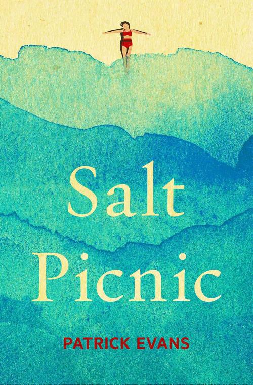 Cover of the book Salt Picnic by Patrick Evans, Victoria University Press