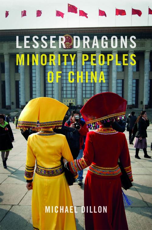 Cover of the book Lesser Dragons by Michael Dillon, Reaktion Books