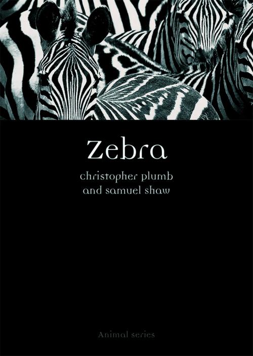 Cover of the book Zebra by Christopher Plumb, Samuel Shaw, Reaktion Books