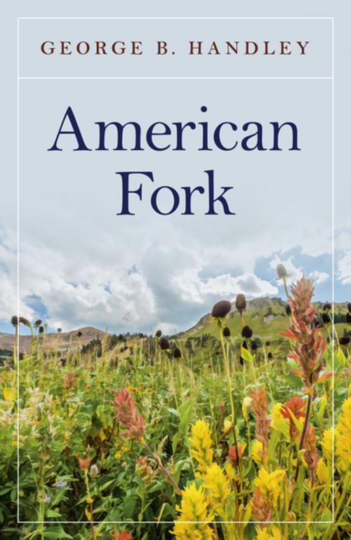 Cover of the book American Fork by George B. Handley, John Hunt Publishing