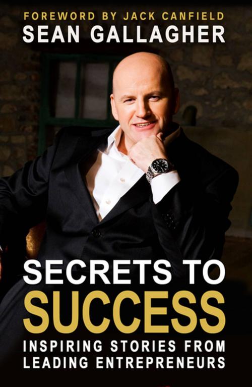 Cover of the book Secrets to Success: by Mr Sean Gallagher, Mercier Press