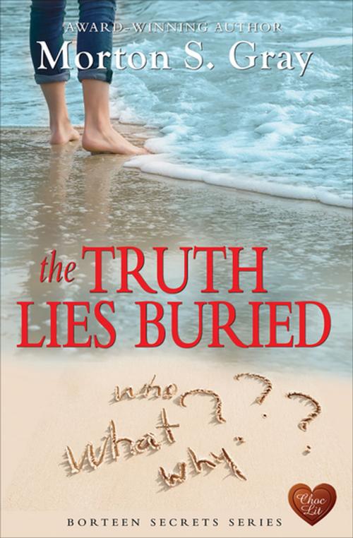 Cover of the book The Truth Lies Buried by Morton S Gray, Choc Lit