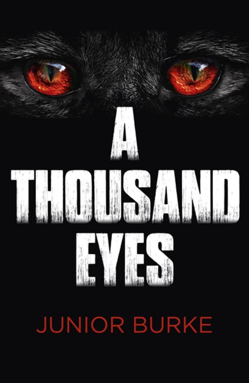 Cover of the book A Thousand Eyes by Junior Burke, John Hunt Publishing