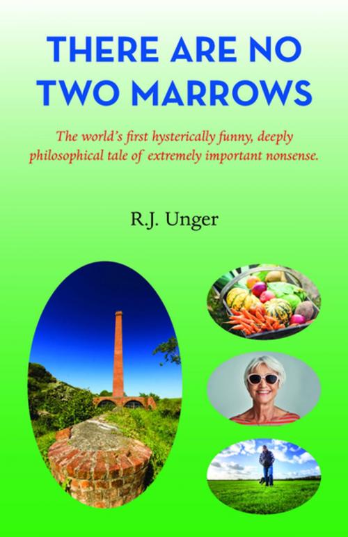 Cover of the book There Are No Two Marrows by R. J. Unger, Grosvenor House Publishing