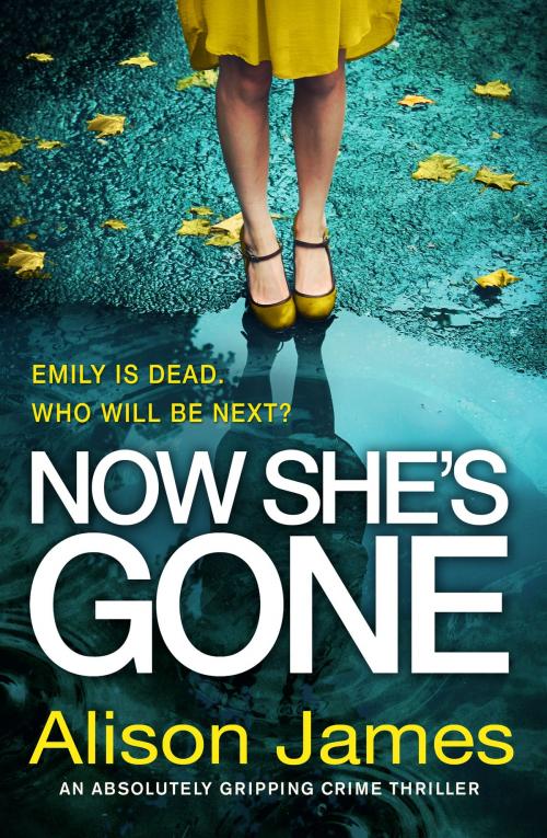 Cover of the book Now She's Gone by Alison James, Bookouture