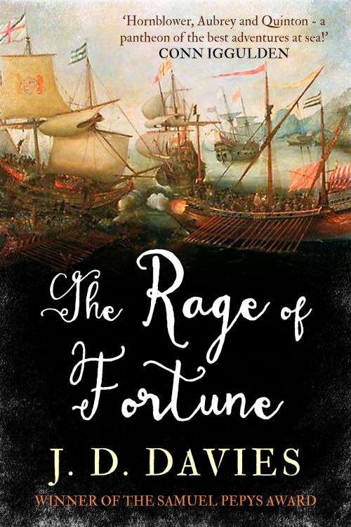 Cover of the book The Rage of Fortune by J. D. Davies, Canelo