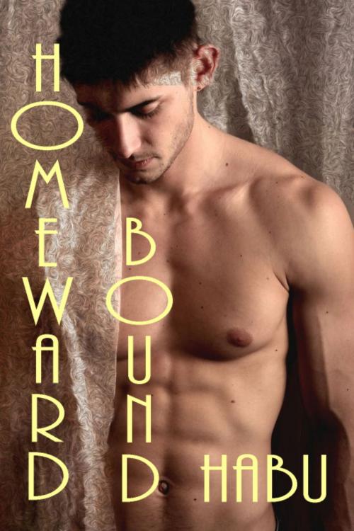 Cover of the book Homeward Bound by habu, BarbarianSpy