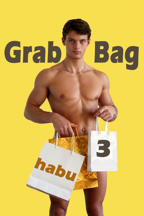 Cover of the book Grab Bag 3 by habu, BarbarianSpy