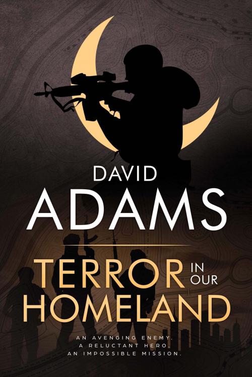 Cover of the book Terror in Our Homeland by David Adams, Vivid Publishing