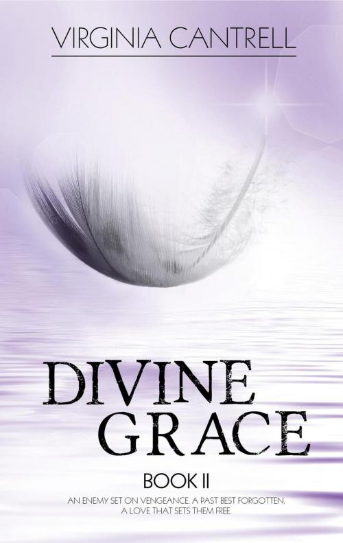 Cover of the book Divine Grace by Virginia Cantrell, Hot Tree Publishing